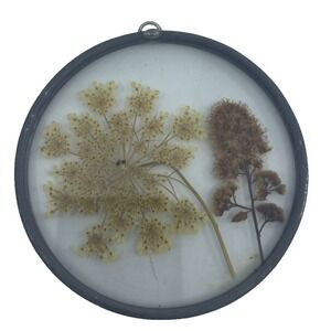 Dried Pressed Flowers Leaded Clear Glass‎ Round Frames 3.75" Vintage